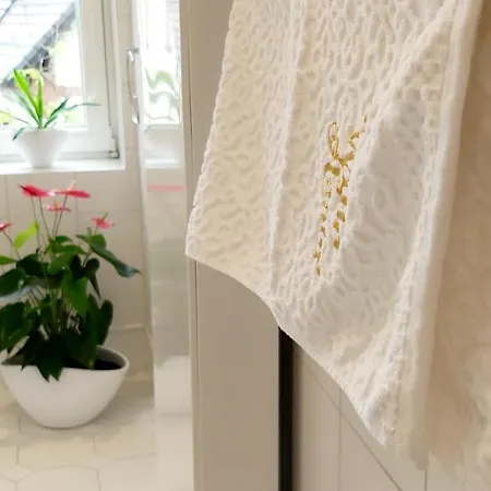 Asser - 110 M2 Komfortu Appartement