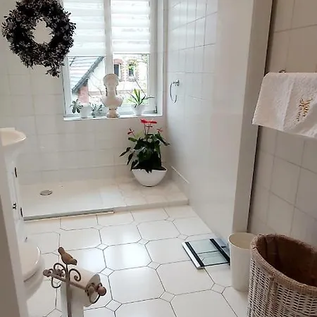 Asser - 110 M2 Komfortu Apartamento Pszczyna