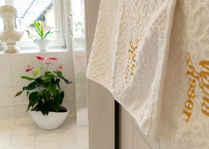 Asser - 110 M2 Komfortu דירה